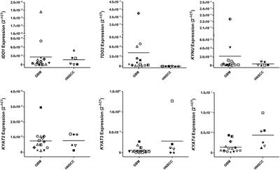 Activation of the Kynurenine Pathway in Human Malignancies Can Be Suppressed by the Cyclin-Dependent Kinase Inhibitor Dinaciclib